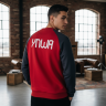 Костюм LFC | Хлопок Премиум (Свитшот и Брюки)